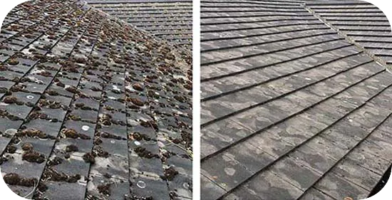 Roof cleaning and roof moss removal by hand. Roof cleaners in Accrington.