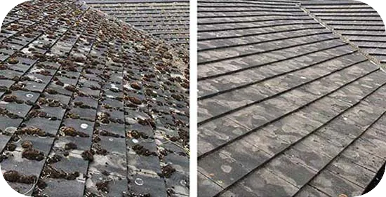 Roof cleaning service in Littleborough