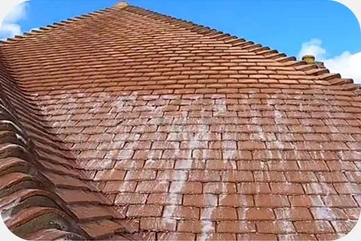 Roof soft washing service in the North West